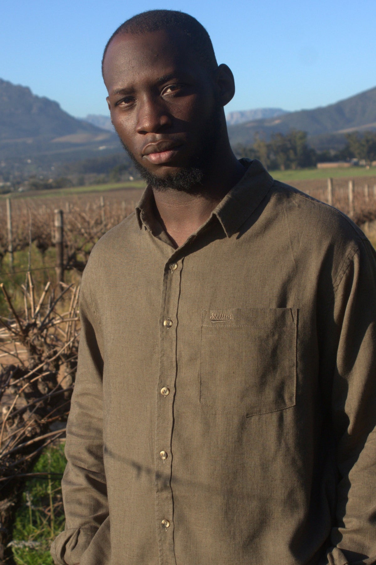 Luxe Linen Shirt in Olive