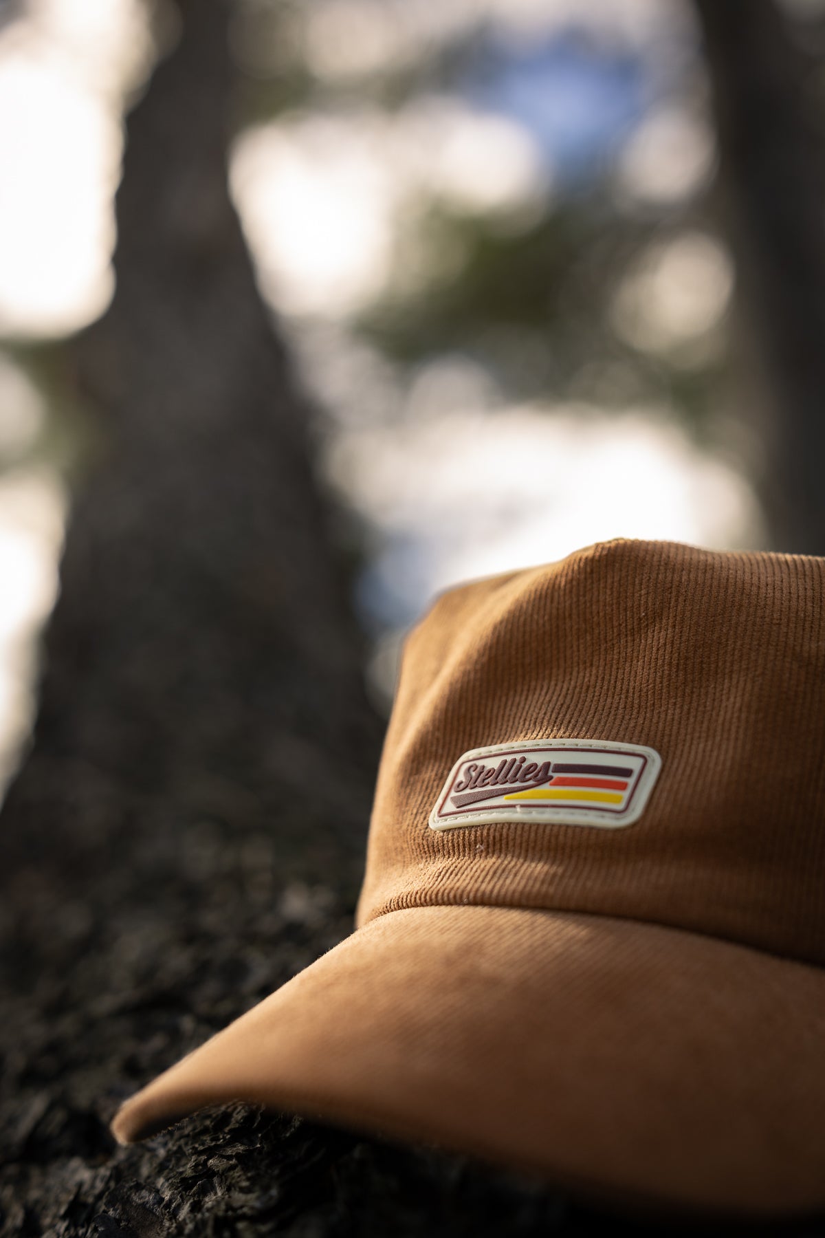 Sundowner Corduroy Cap in Tan Brown