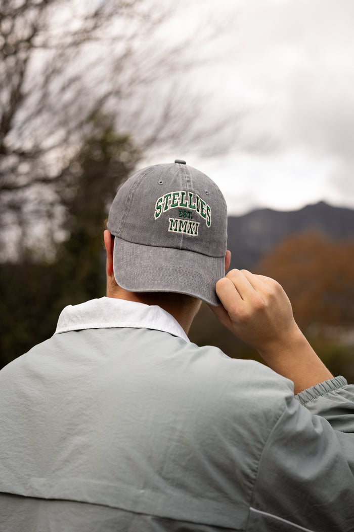 Stone-Washed Champion's Dad Cap in Grey
