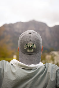 Stone-Washed Champion's Dad Cap in Grey