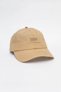 Performance Dad Cap in Stone