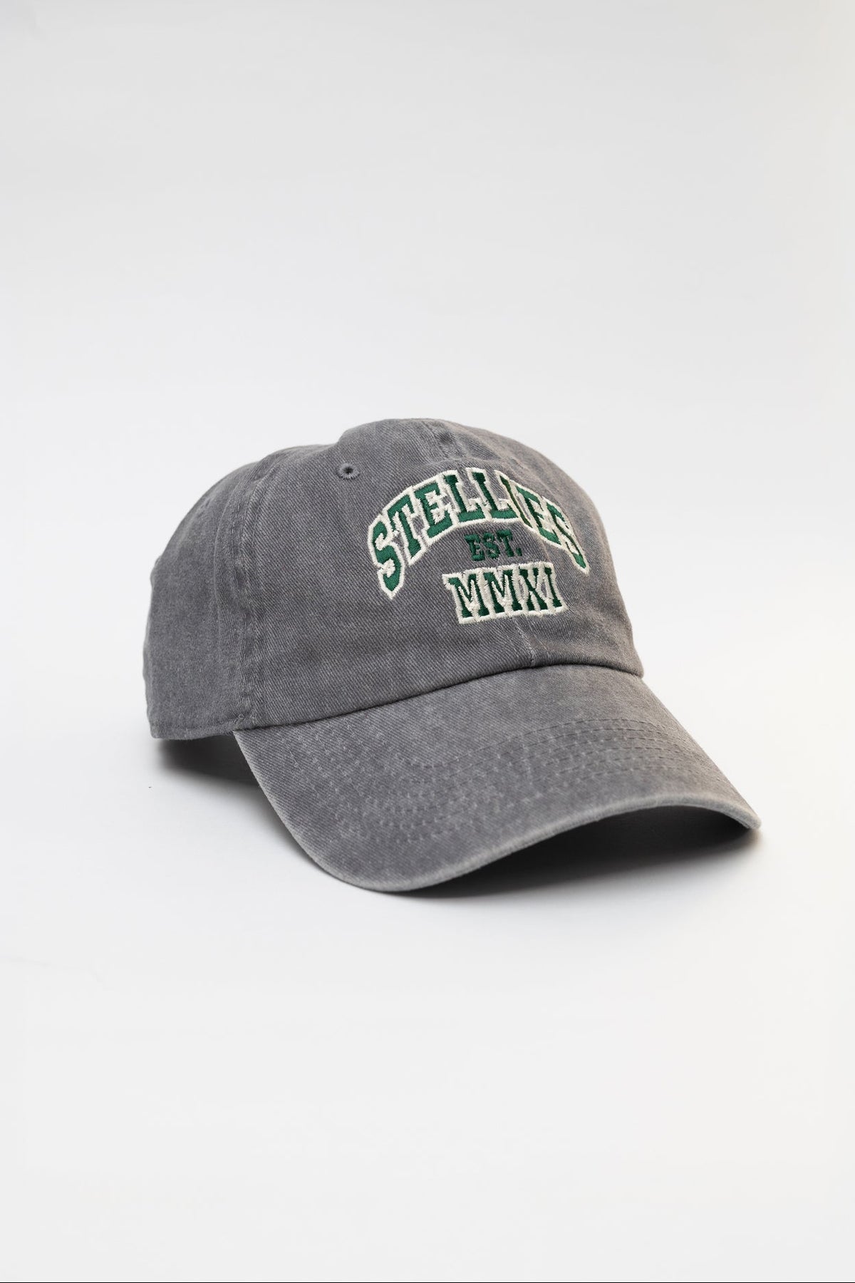 Stone-Washed Champion's Dad Cap in Grey