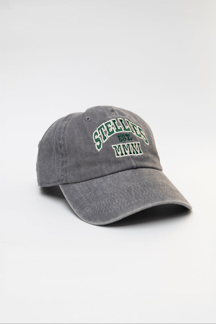 Stone-Washed Champion's Dad Cap in Grey