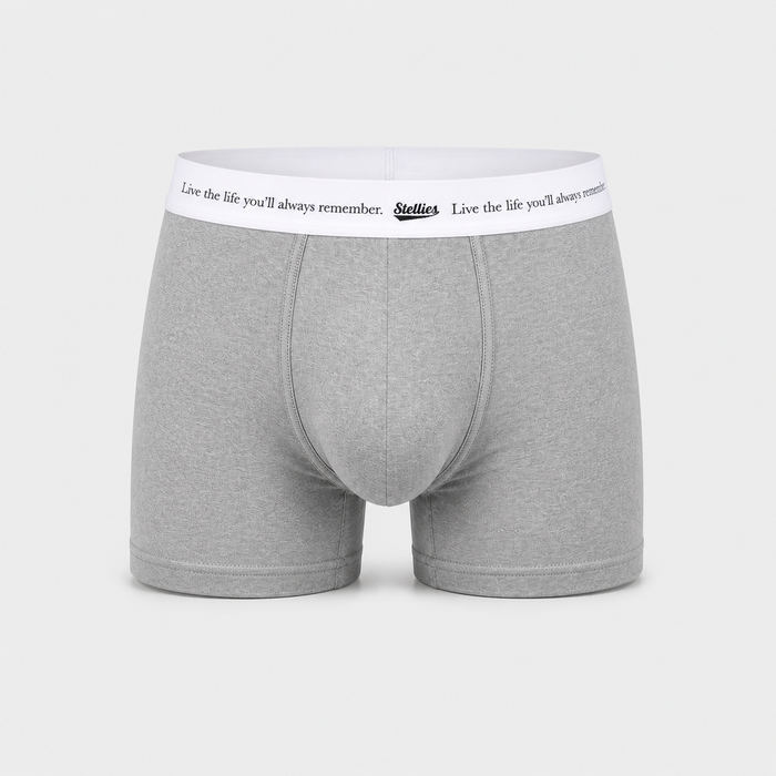Men's Premium Cotton Boxer Briefs in Heather Grey