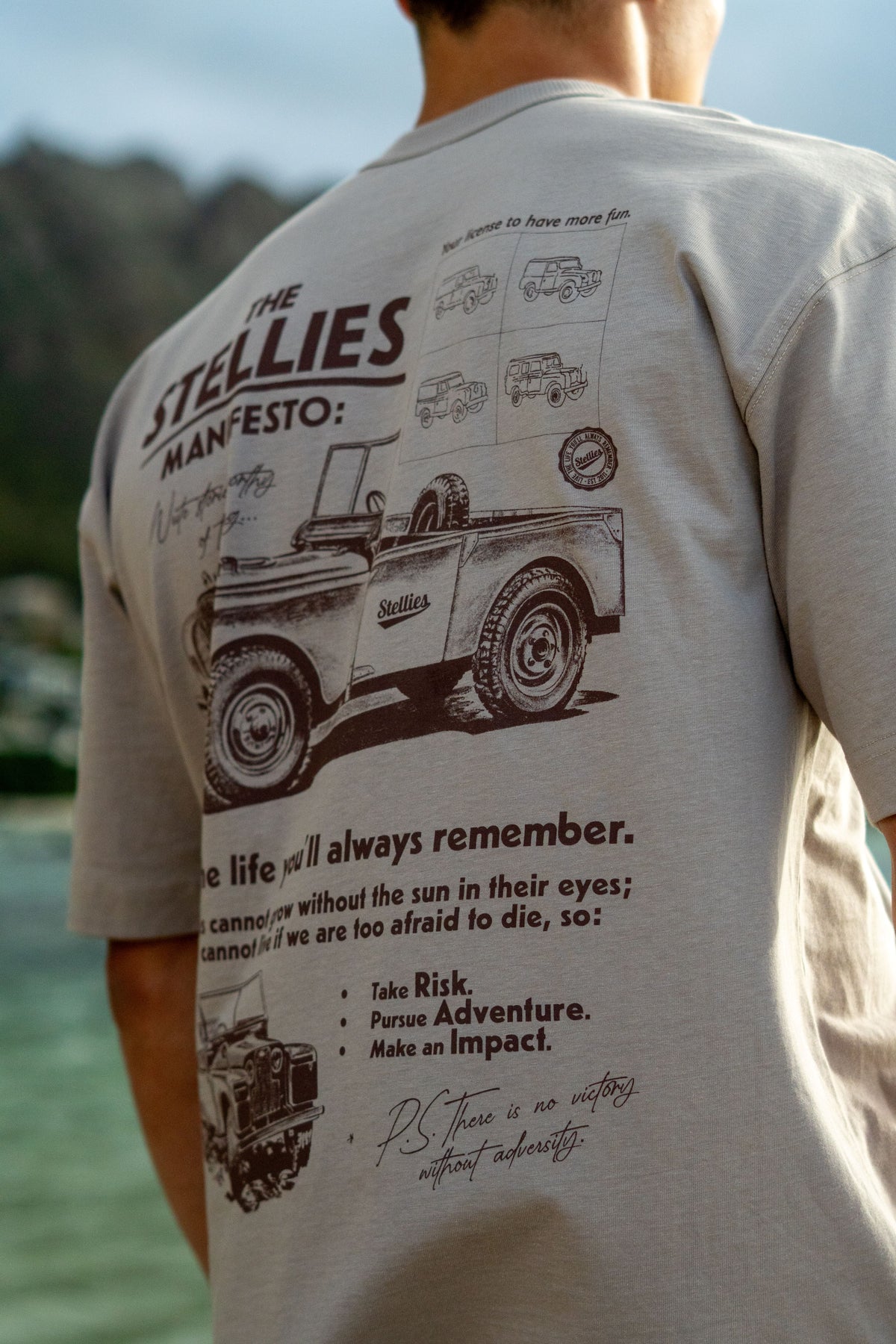 Brandrover Tee in Taupe