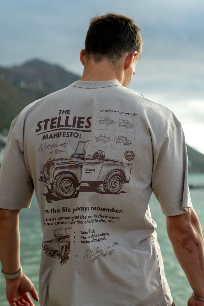 Brandrover Tee in Taupe