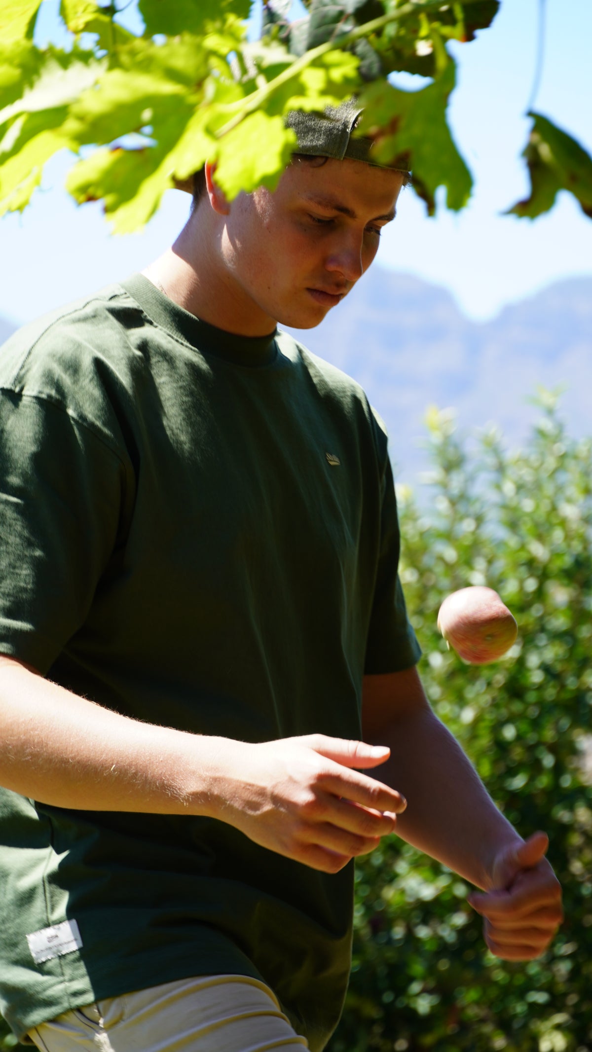 Core Tee In Pine