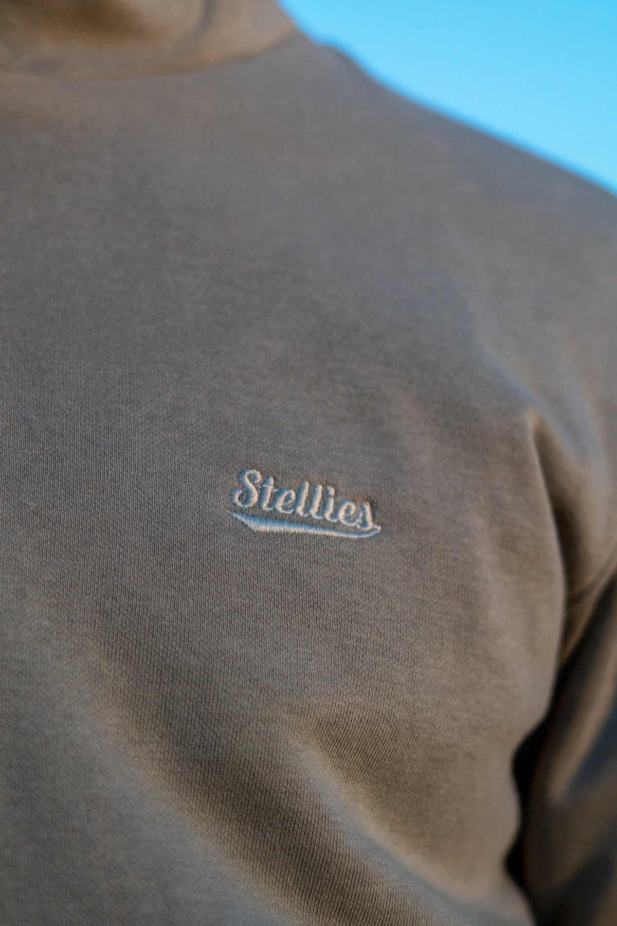 The Luxe Zip-Up Fleece Hoodie in Fern Green