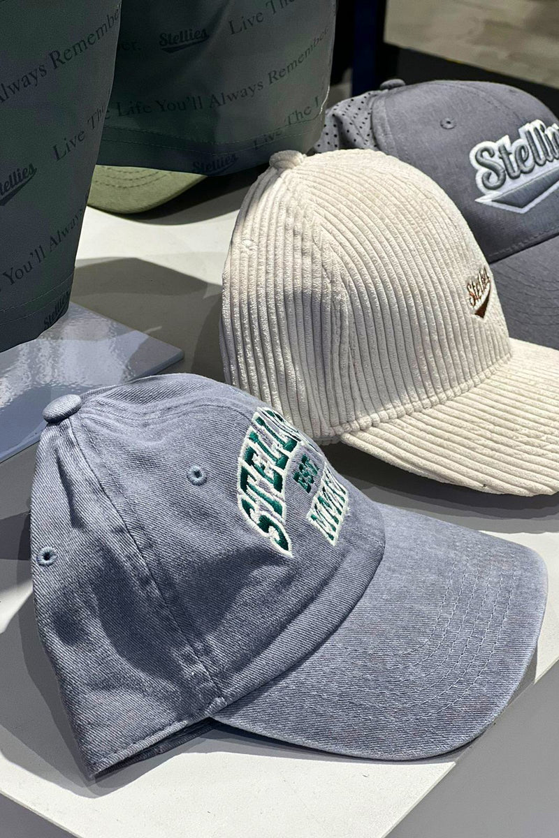 Stone-Washed Champion's Dad Cap - Grey