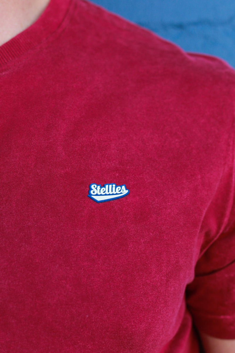 The Core Tee in Washed Terracotta
